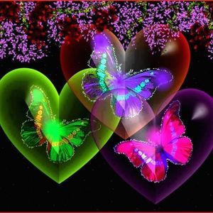 Meet your Posher, Anita